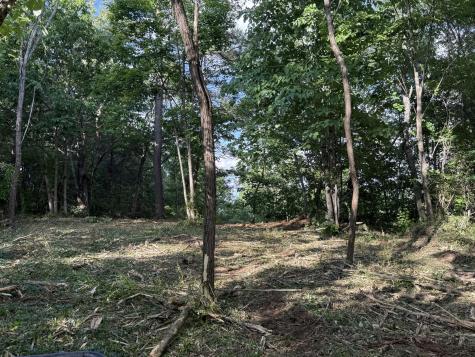 214 Middle Ridge Road Beersheba Springs TN 37305