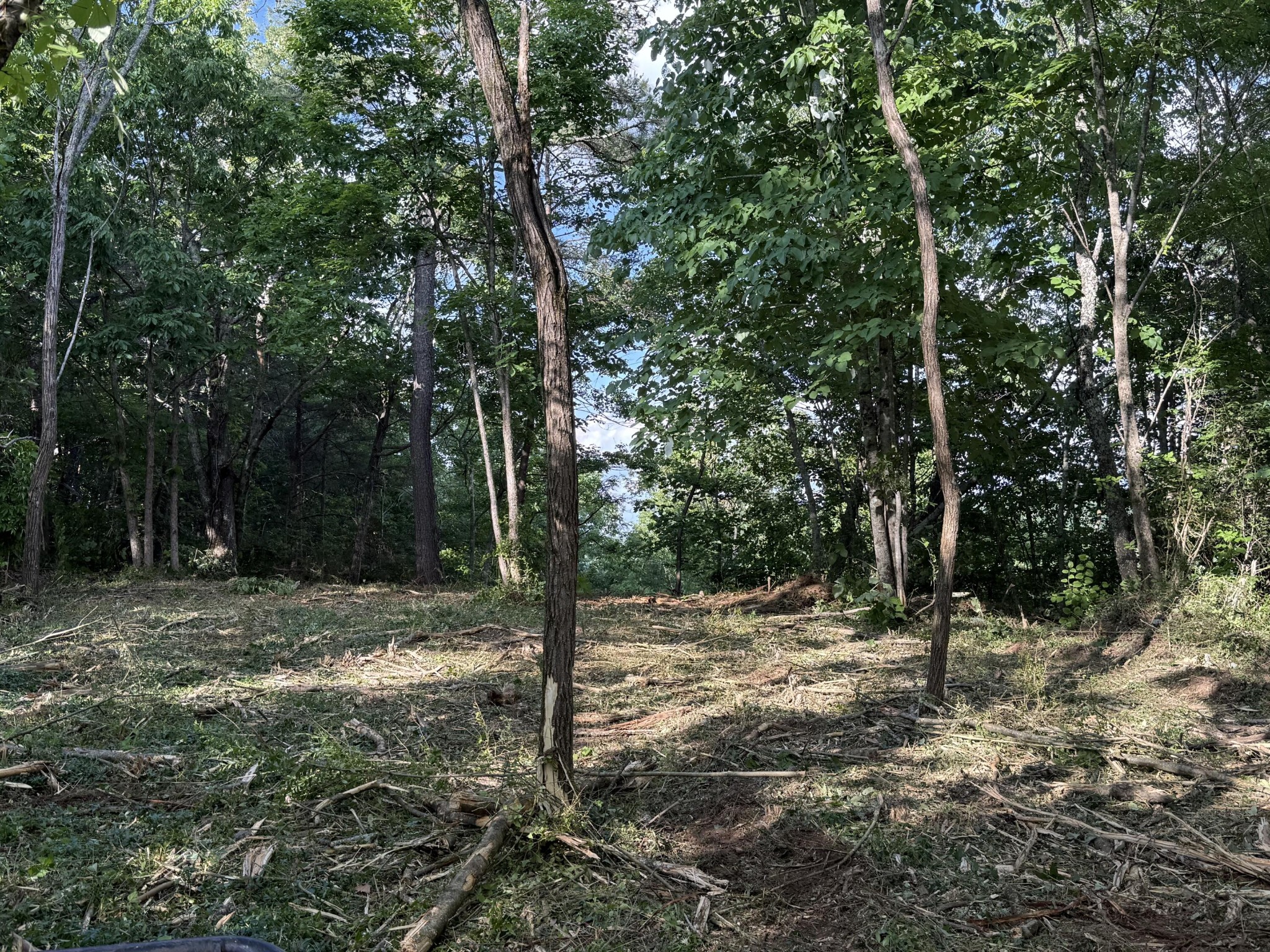 214 Middle Ridge Road Beersheba Springs TN 37305