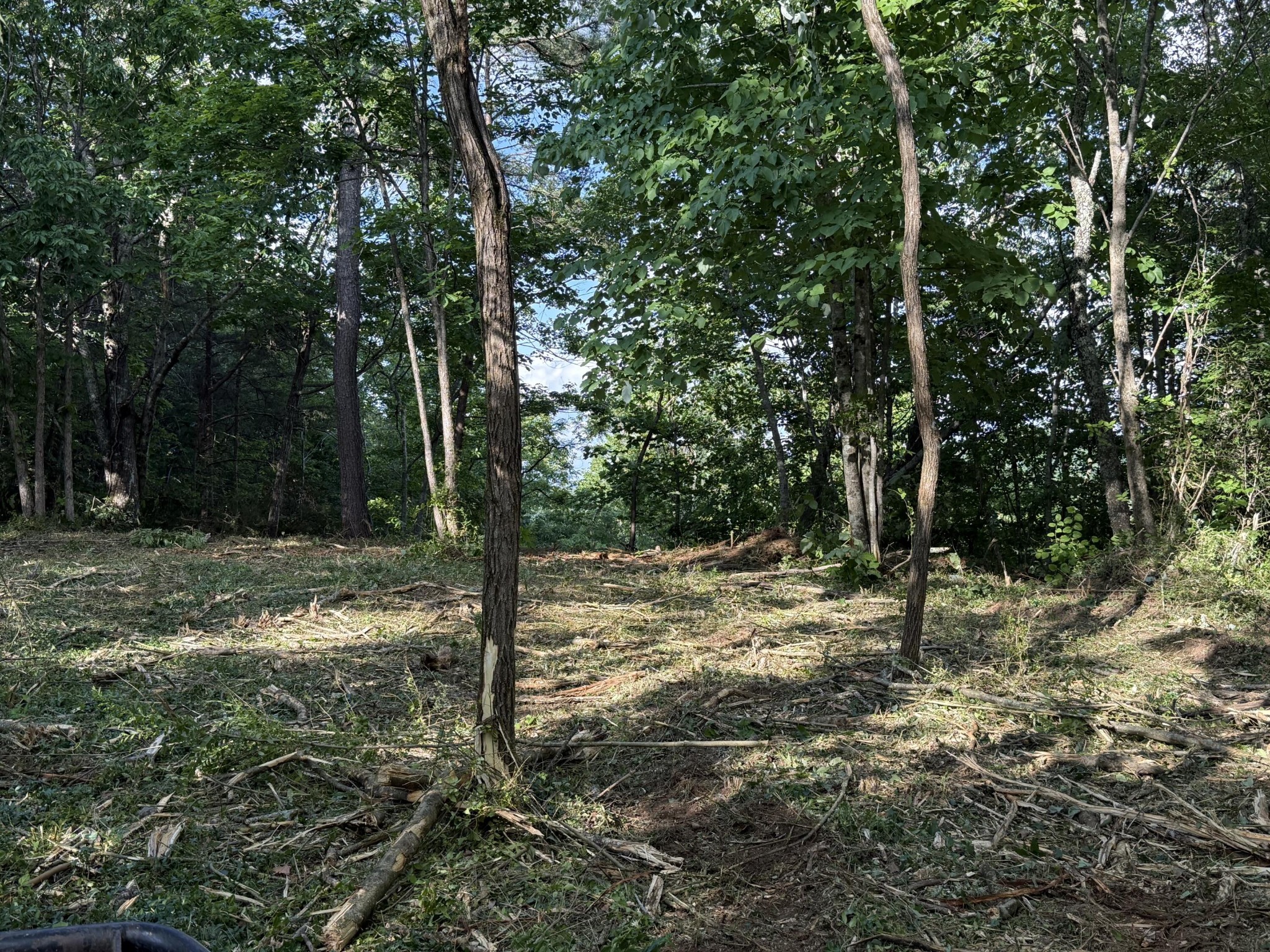 214 Middle Ridge Road Beersheba Springs TN 37305