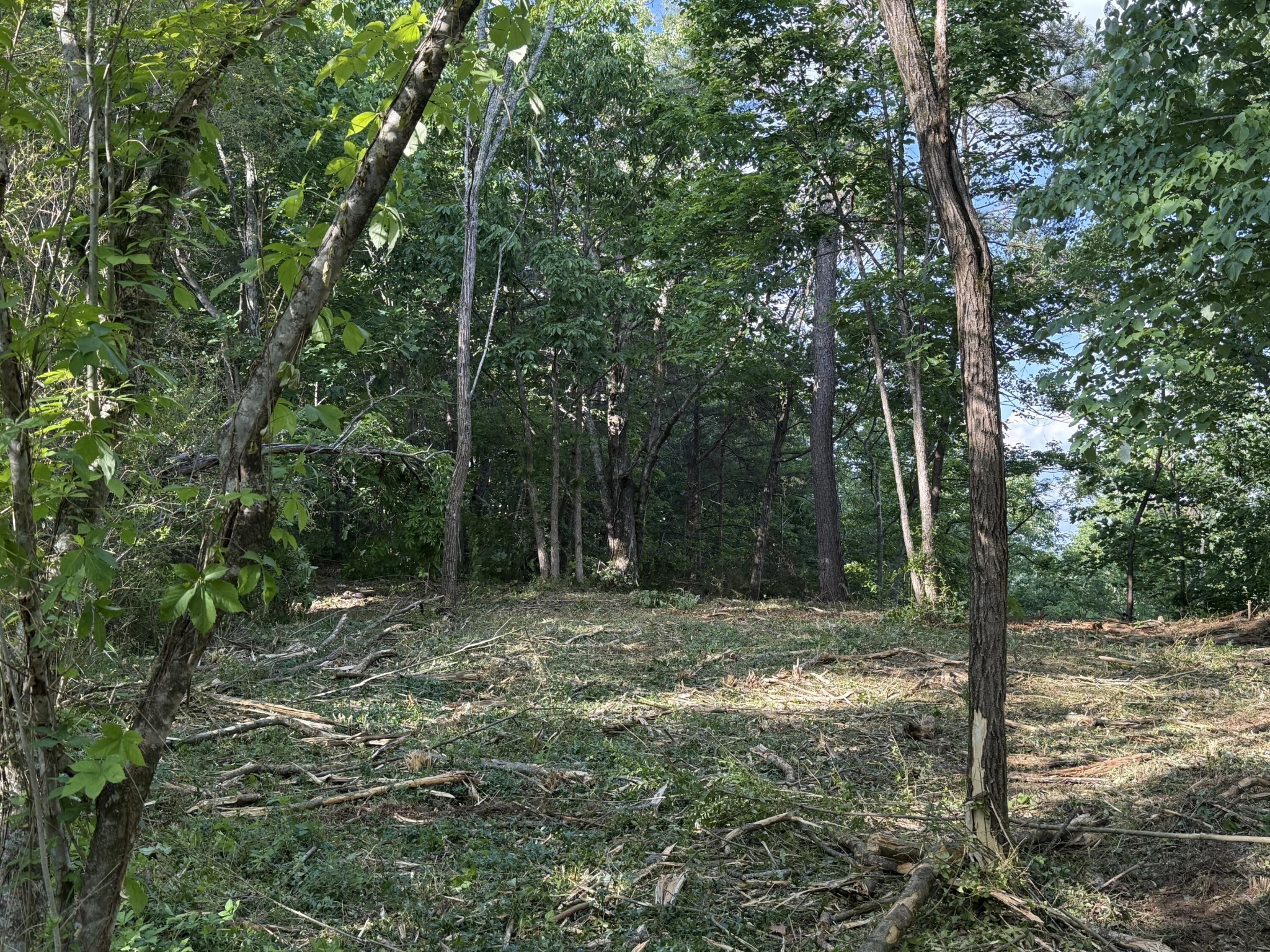 214 Middle Ridge Road Beersheba Springs TN 37305