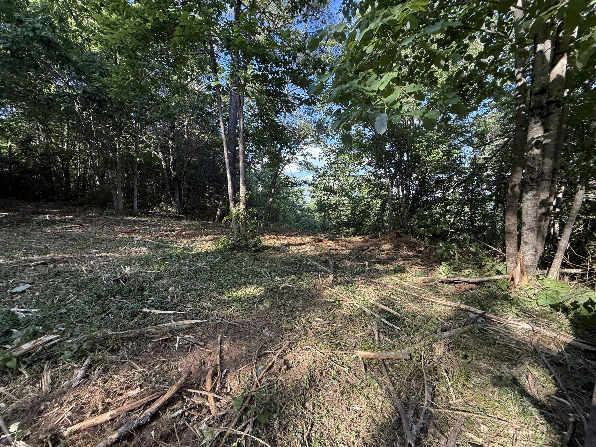 214 Middle Ridge Road Beersheba Springs TN 37305