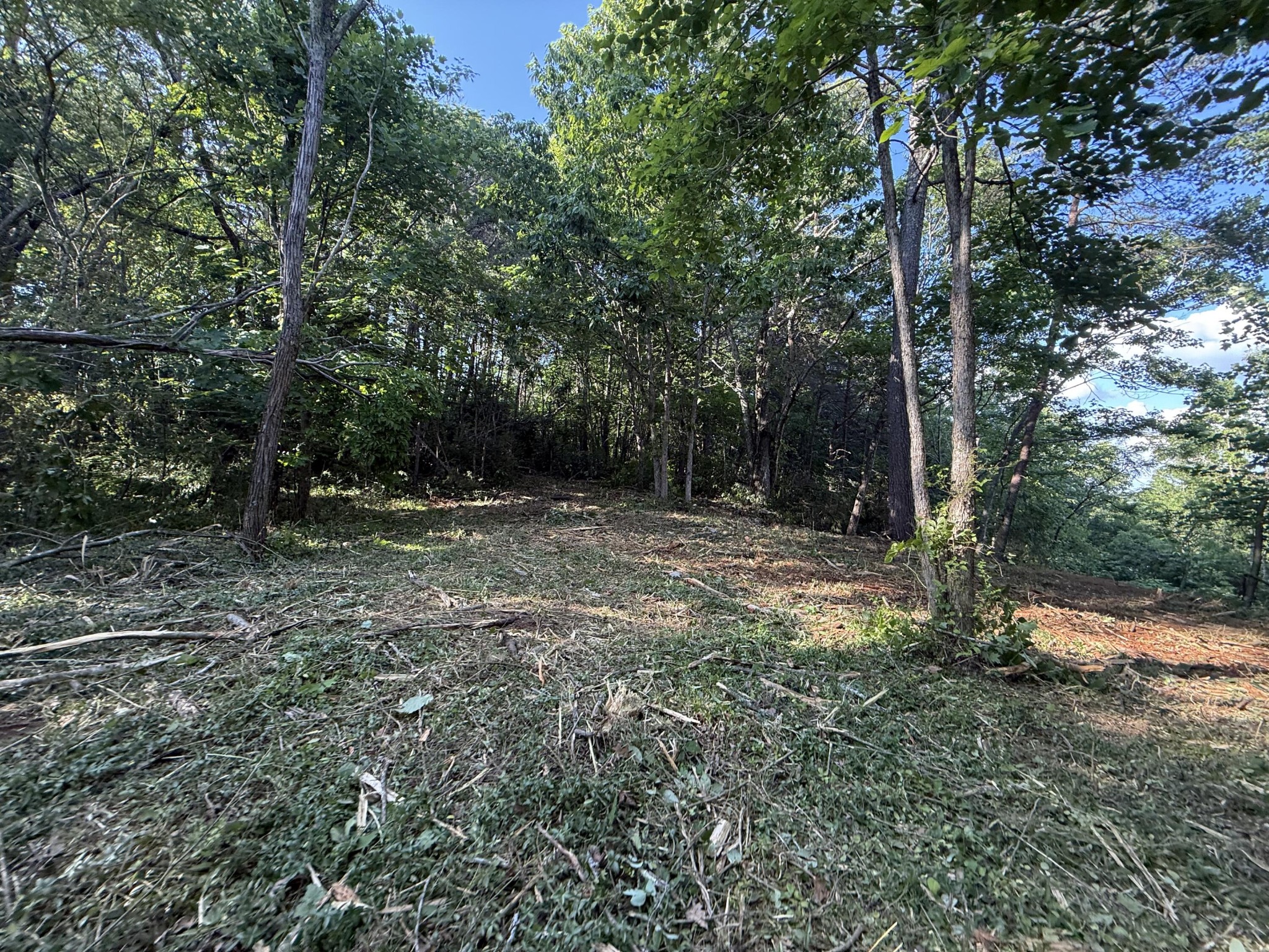 214 Middle Ridge Road Beersheba Springs TN 37305