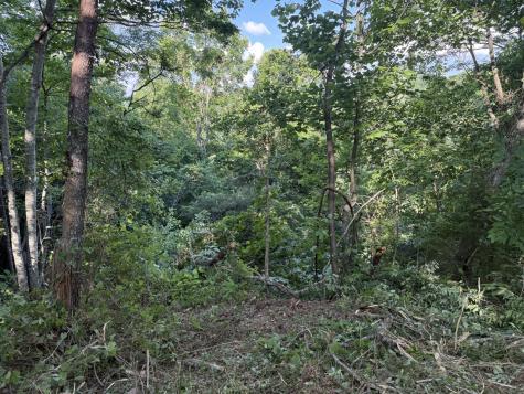 214 Middle Ridge Road Beersheba Springs TN 37305