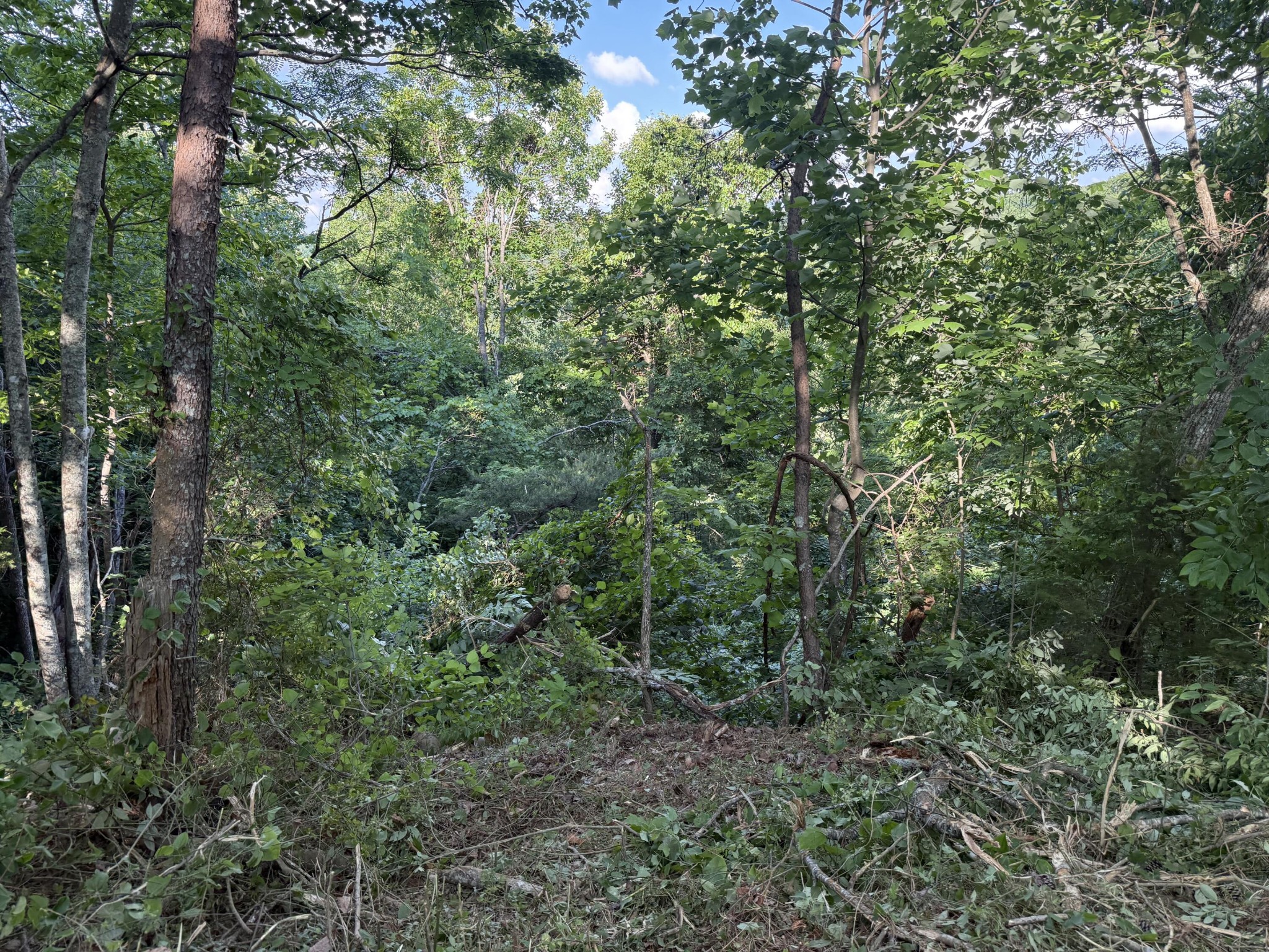 214 Middle Ridge Road Beersheba Springs TN 37305