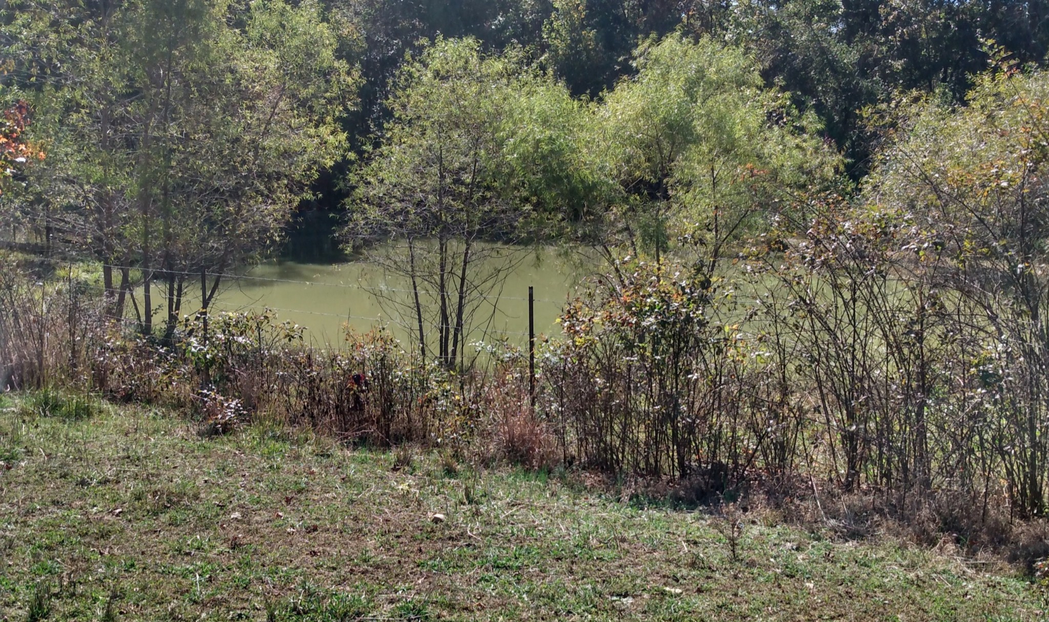 0 Lockertsville Road Ashland City TN 37015