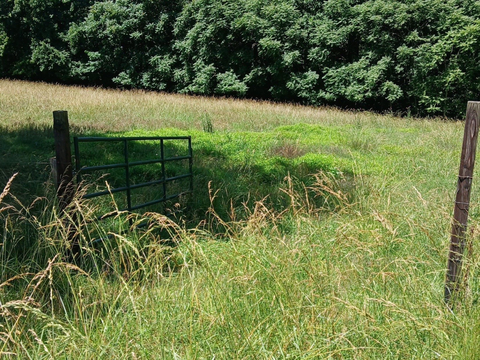 0 Lockertsville Road Ashland City TN 37015