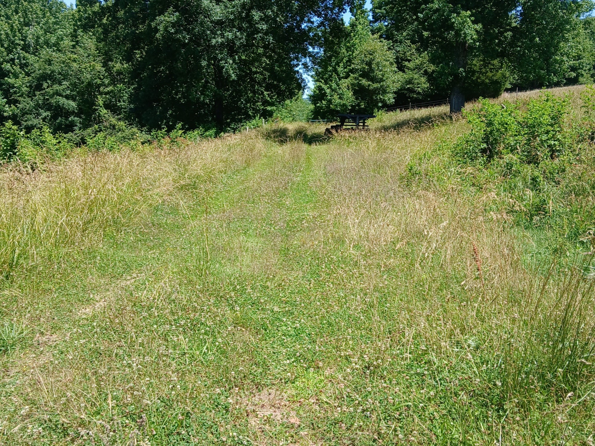 0 Lockertsville Road Ashland City TN 37015