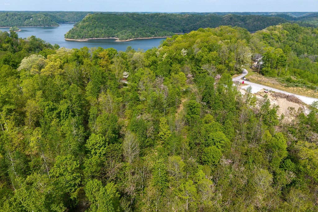 75 Backbone Road Sparta TN 38583