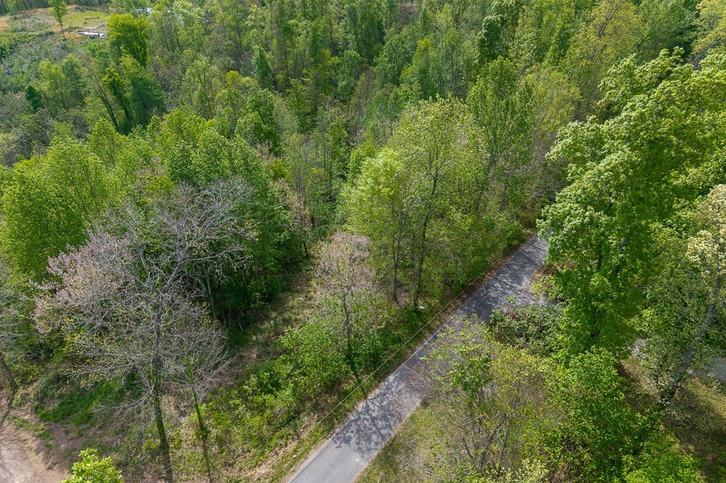 75 Backbone Road Sparta TN 38583