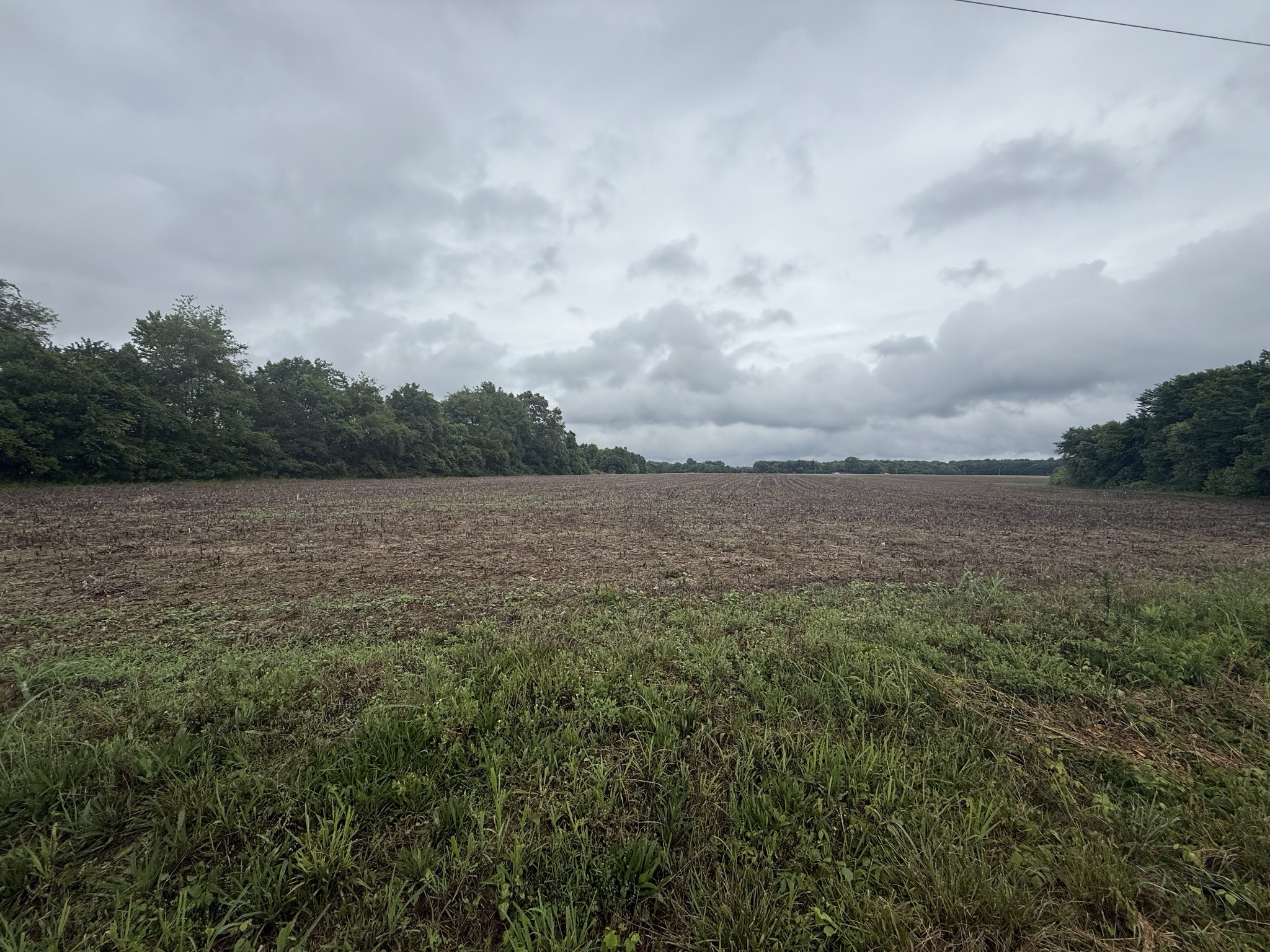 0 Pendergrass Road Flintville TN 37335