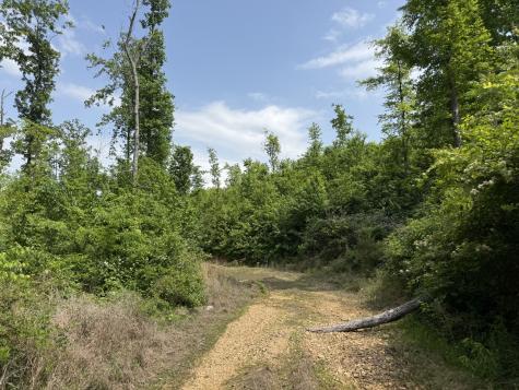 2 Hohenwald Highway Waynesboro TN 38485
