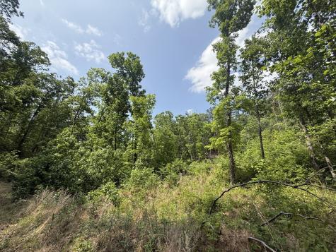2 Hohenwald Highway Waynesboro TN 38485