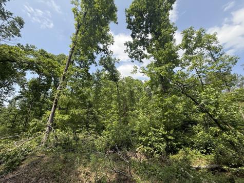 2 Hohenwald Highway Waynesboro TN 38485