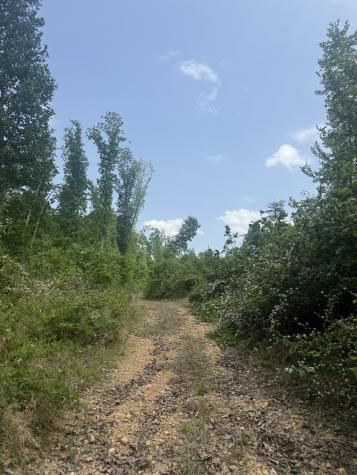 2 Hohenwald Highway Waynesboro TN 38485