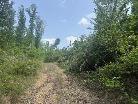 2 Hohenwald Highway Waynesboro TN 38485