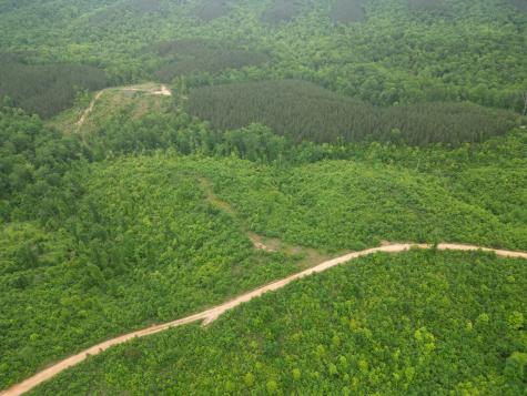 2 Hohenwald Highway Waynesboro TN 38485