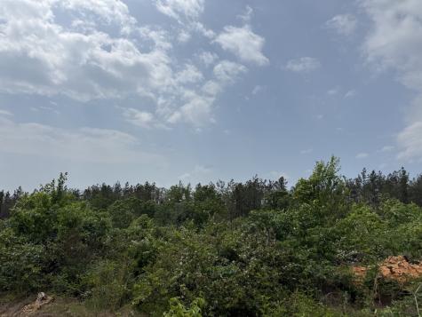 2 Hohenwald Highway Waynesboro TN 38485