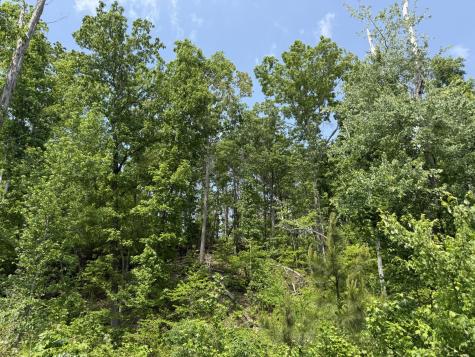 2 Hohenwald Highway Waynesboro TN 38485