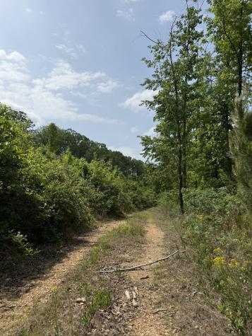 2 Hohenwald Highway Waynesboro TN 38485