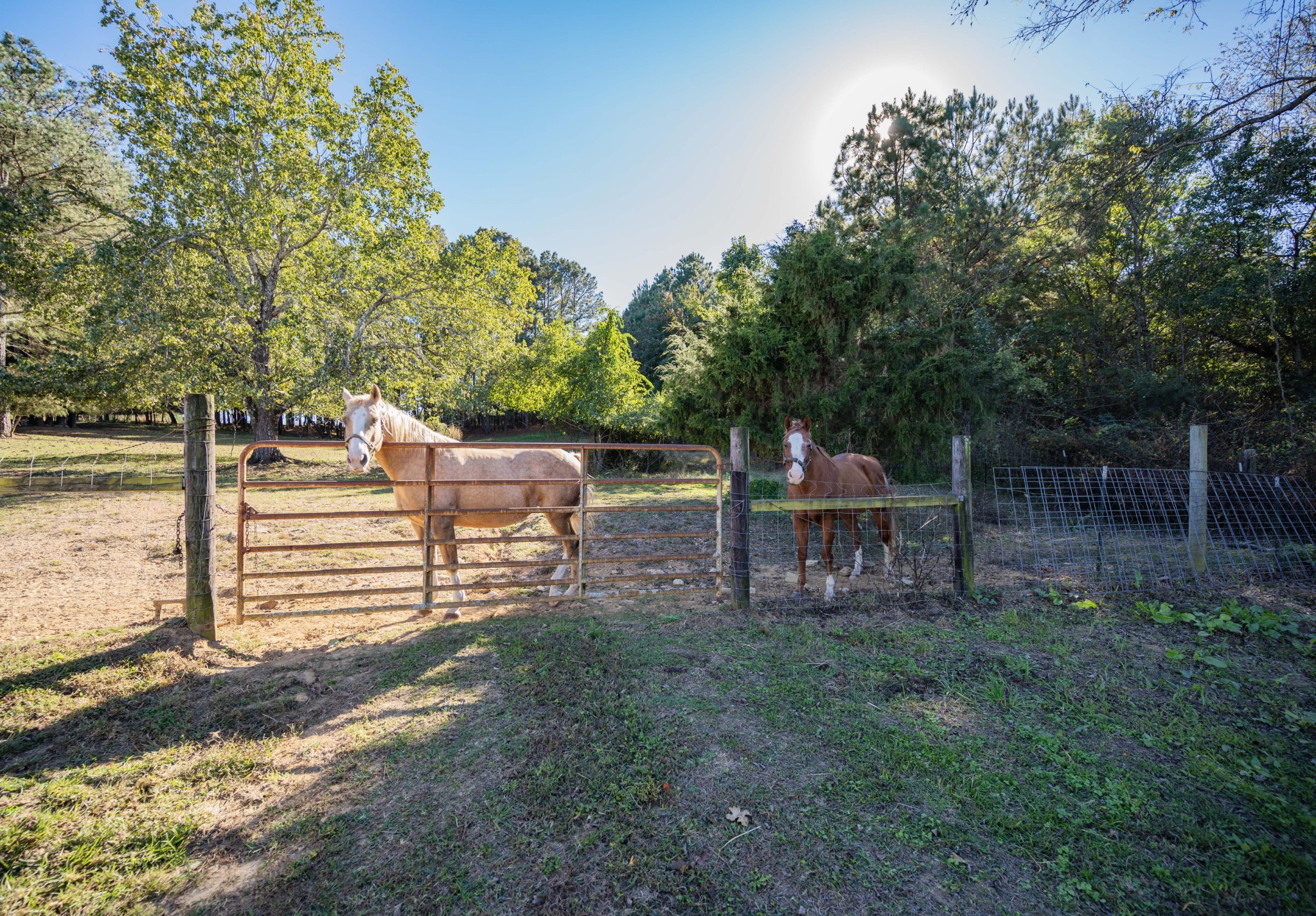 7817 Shelbyville Road Morrison TN 37357