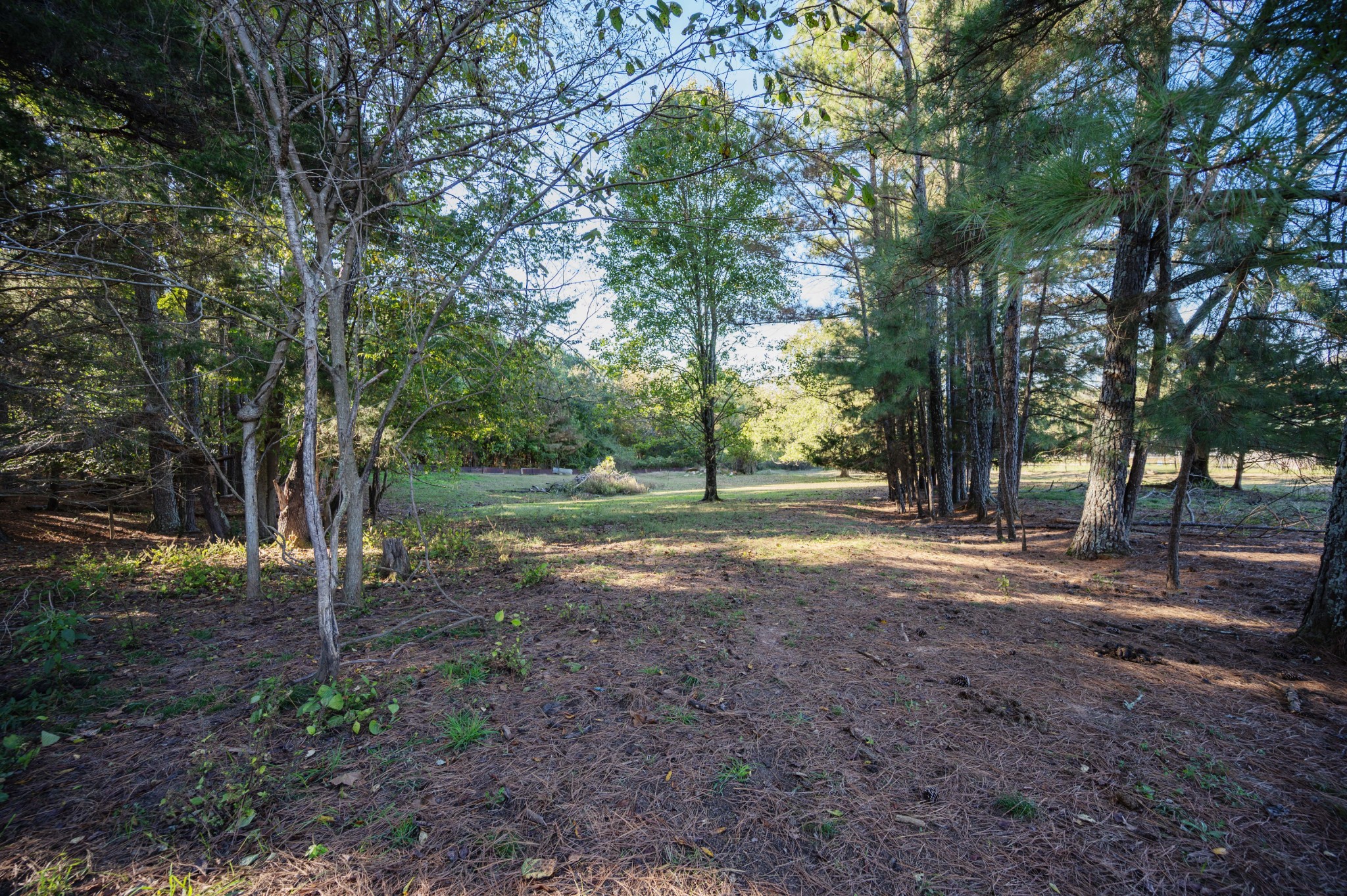 7817 Shelbyville Road Morrison TN 37357