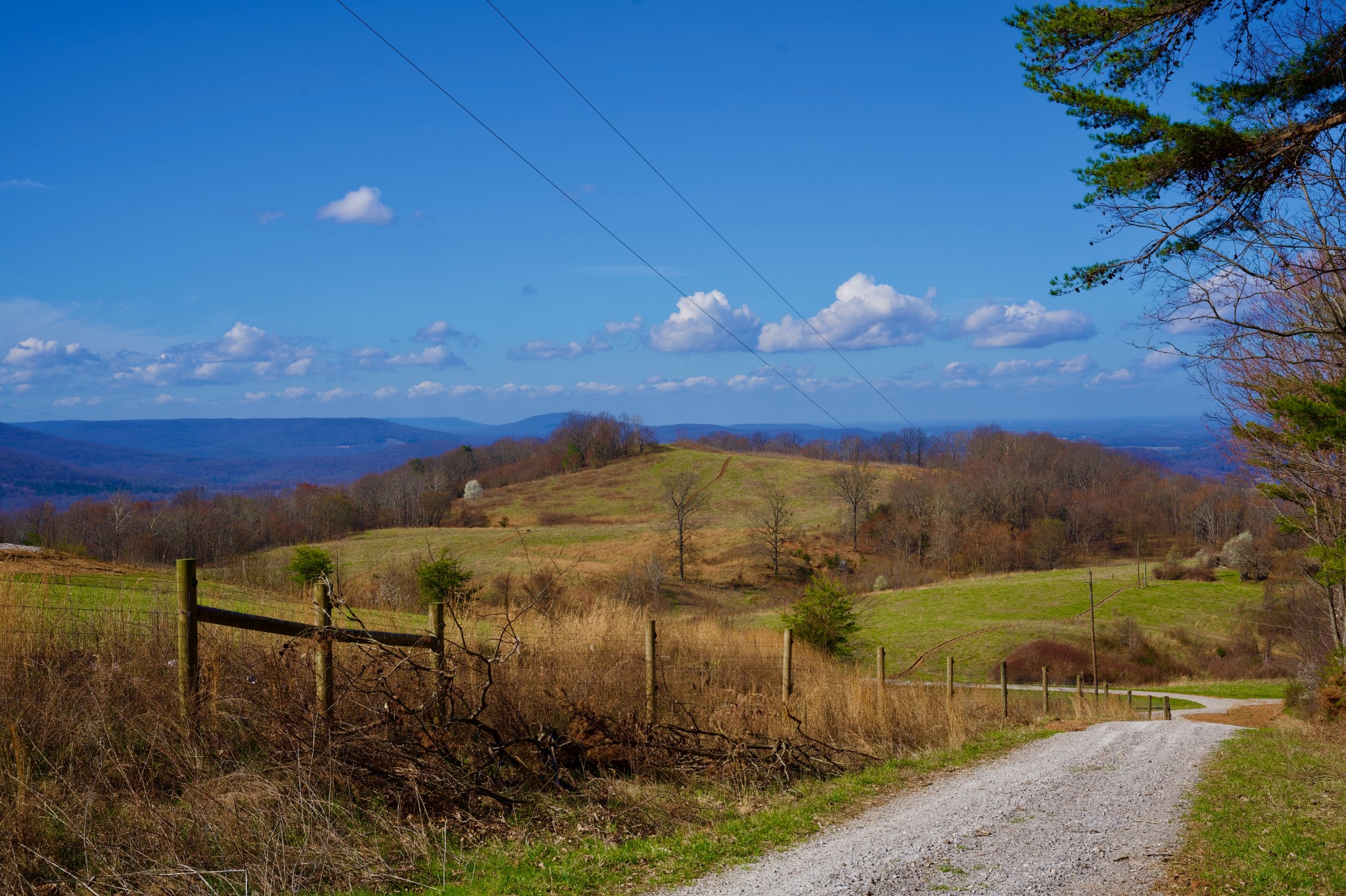 0 Madewell Road Spencer TN 38585