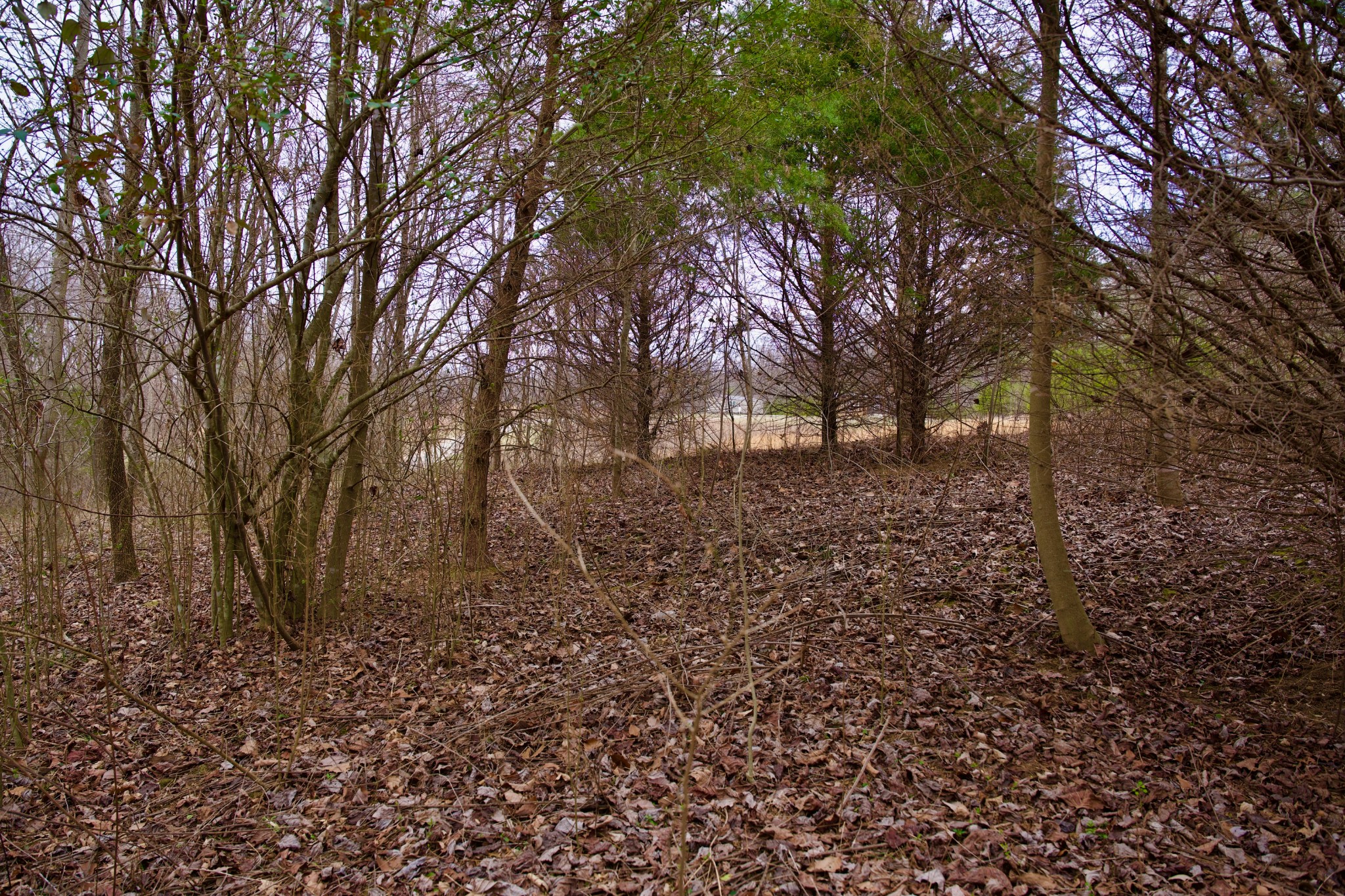 0 Madewell Road Spencer TN 38585