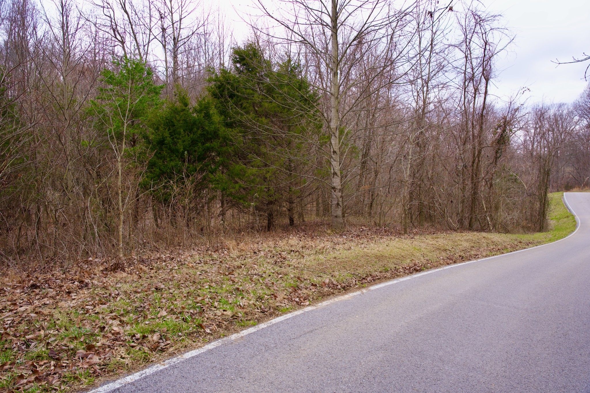 0 Madewell Road Spencer TN 38585