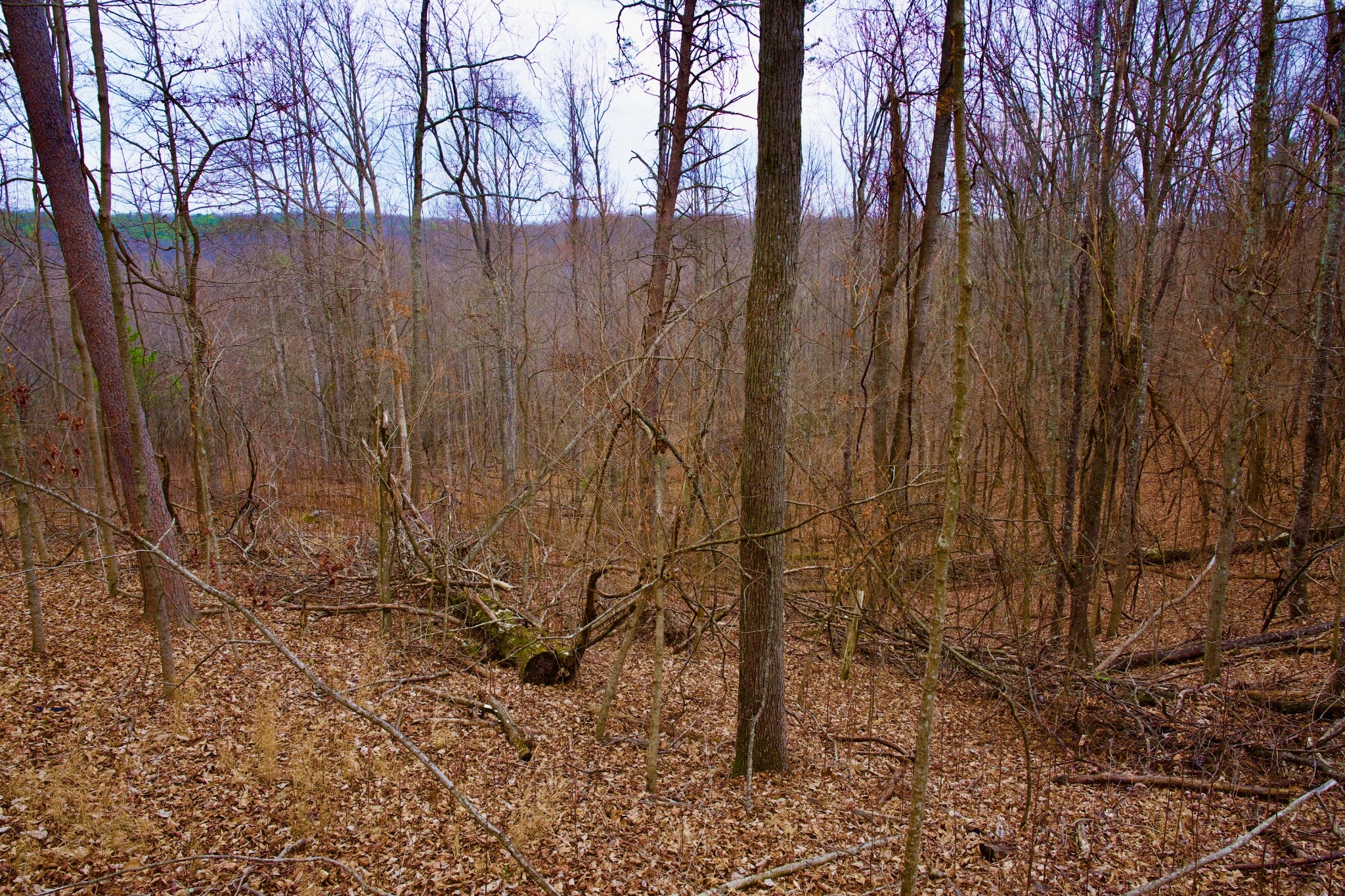 0 Madewell Road Spencer TN 38585