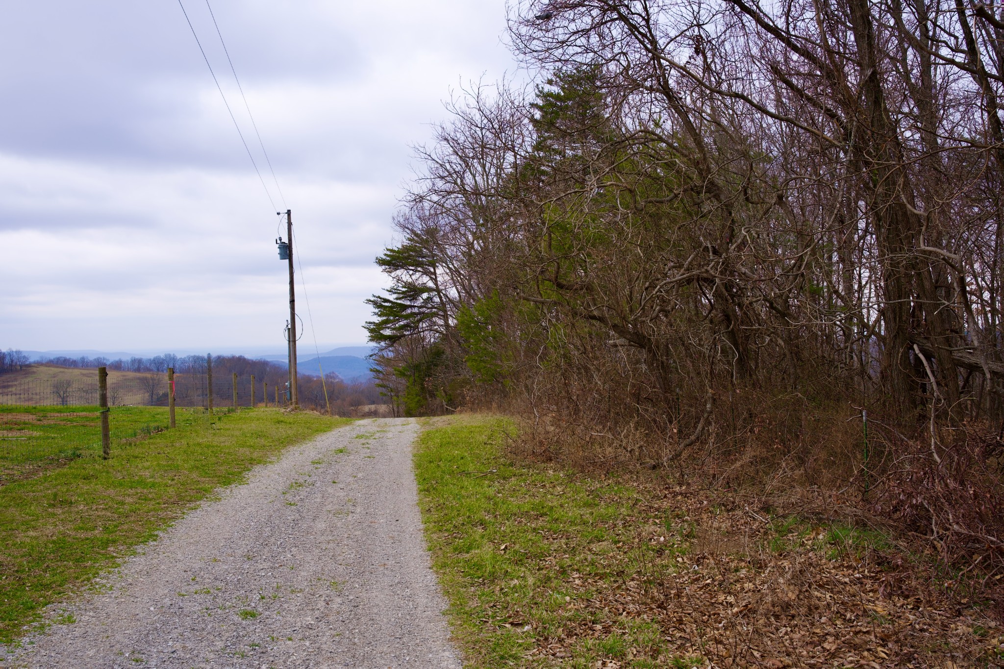 0 Madewell Road Spencer TN 38585