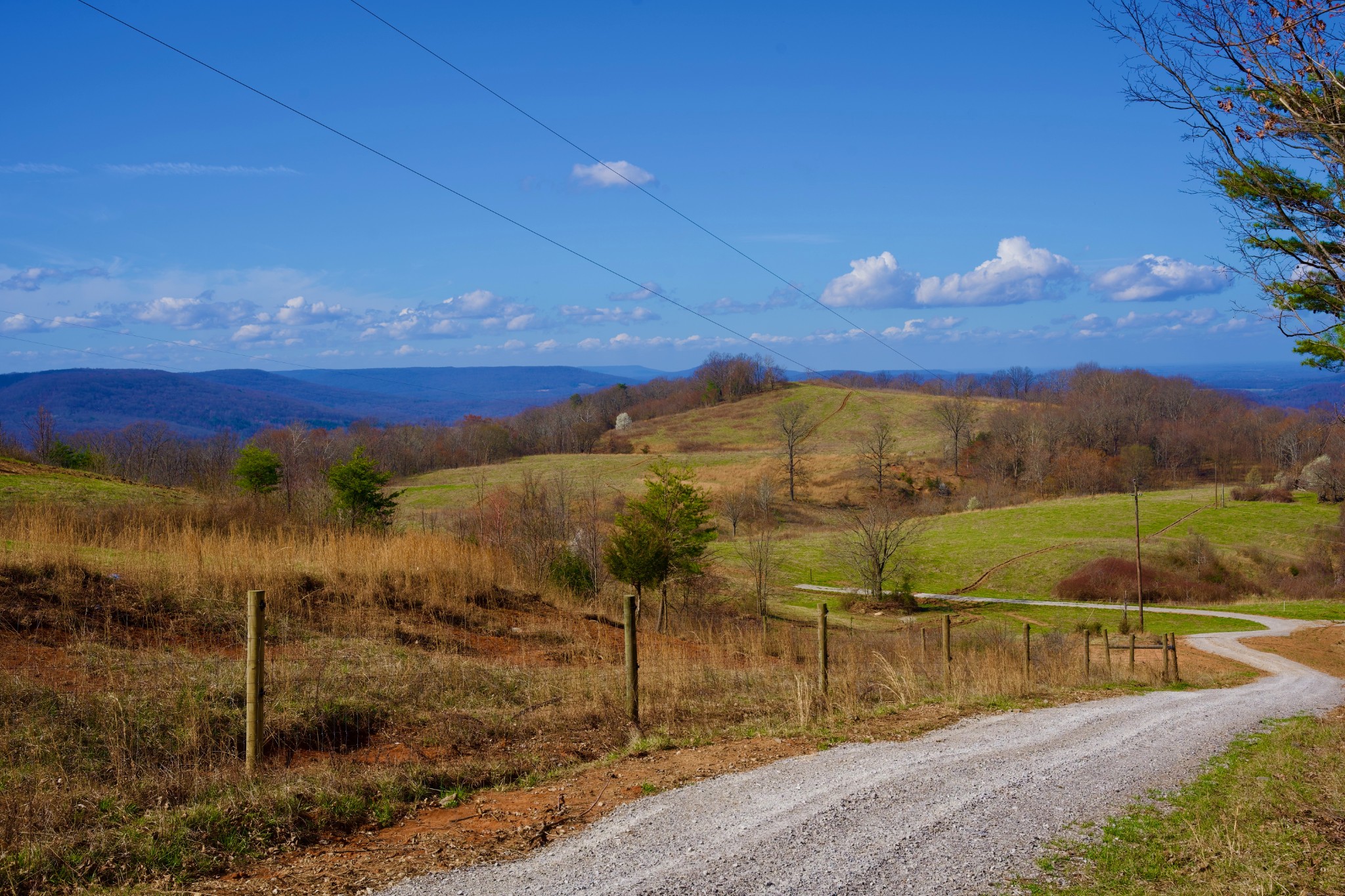 0 Madewell Road Spencer TN 38585