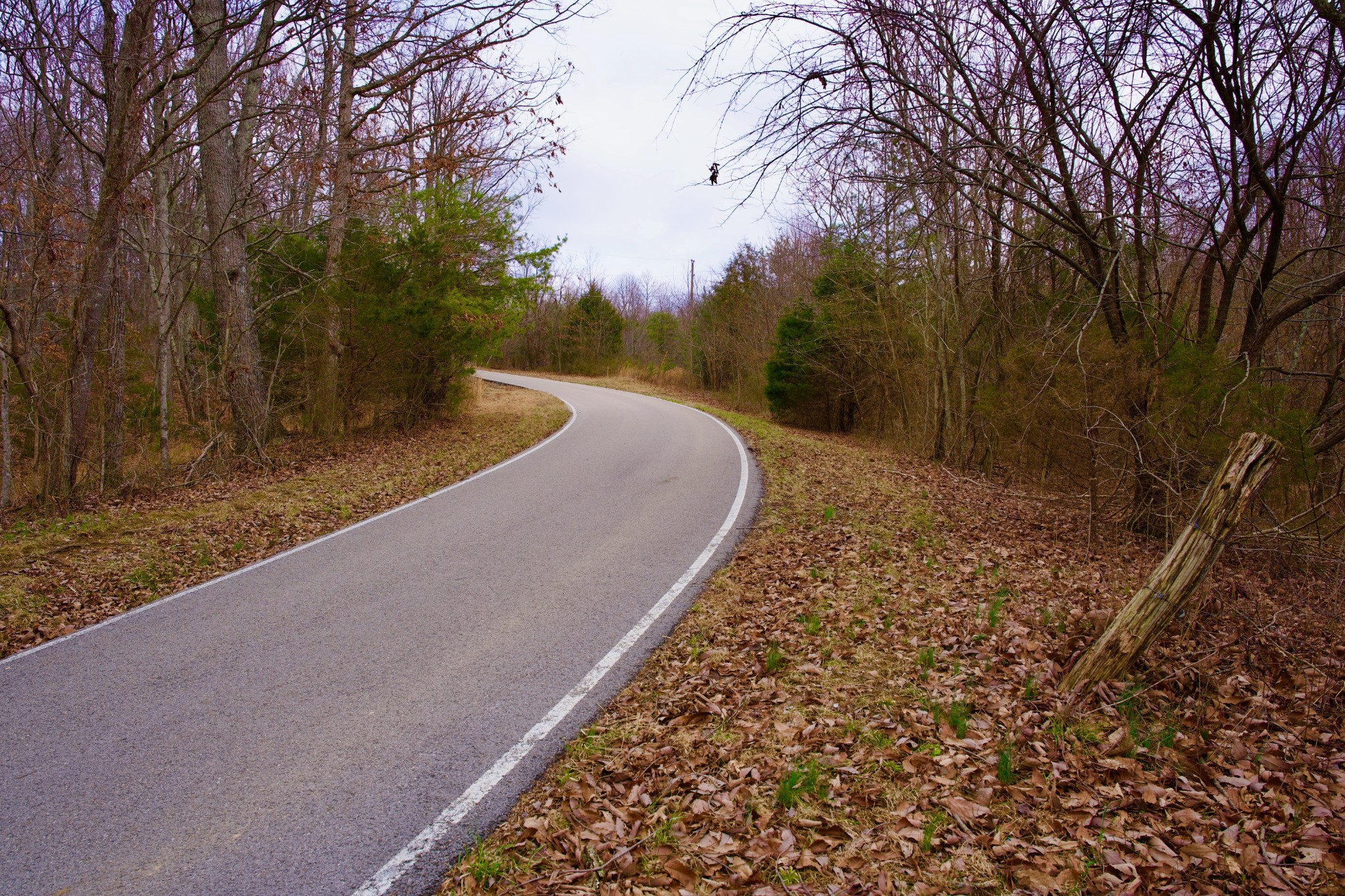 0 Madewell Road Spencer TN 38585