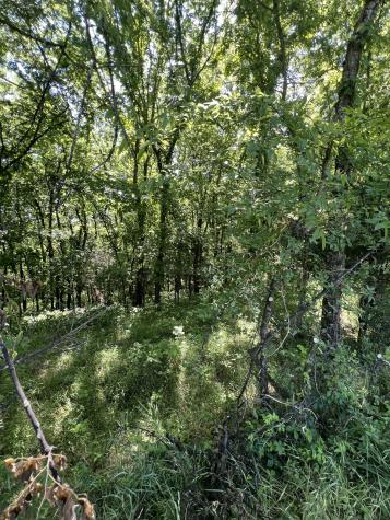 23 Preston Lane Elmwood TN 38560