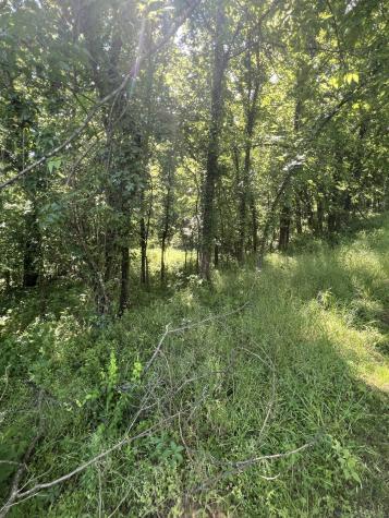 23 Preston Lane Elmwood TN 38560