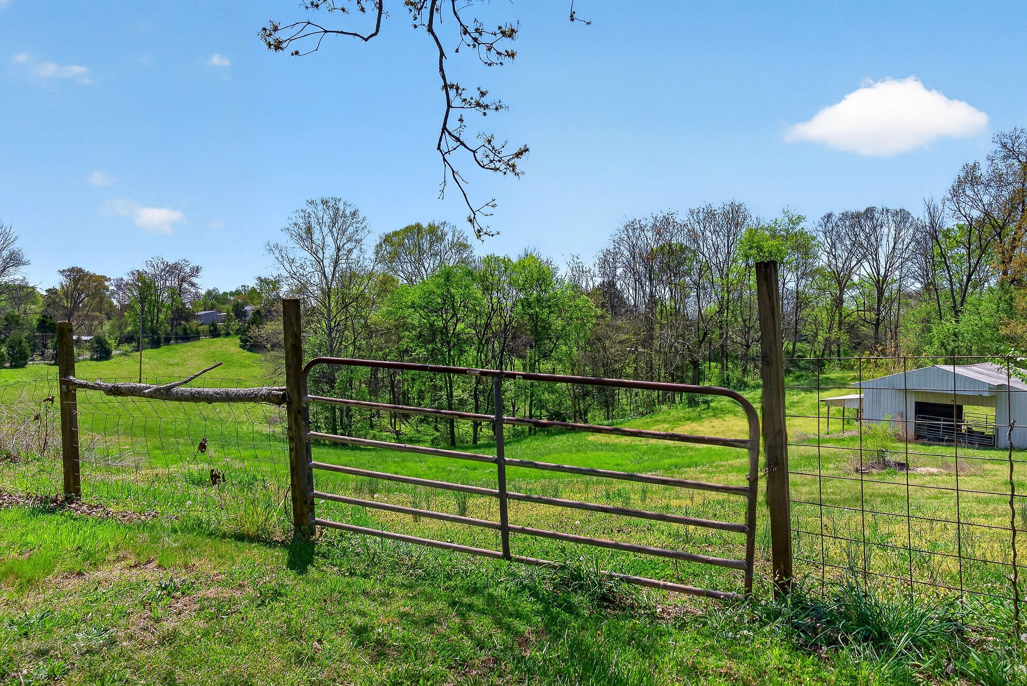 463 Franks Ferry Road Sparta TN 38583