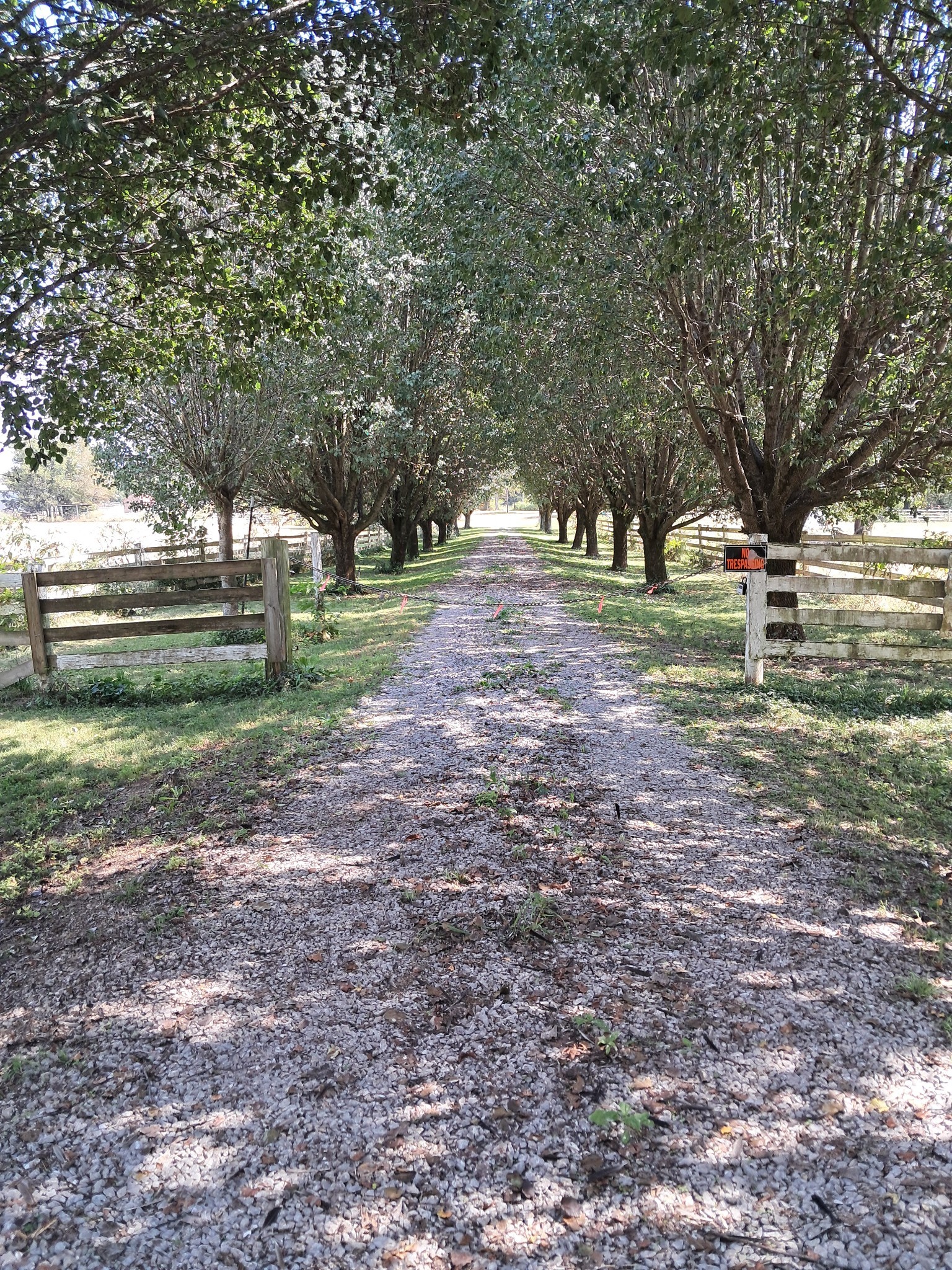 1211 Old Highway 99 Lewisburg TN 37091