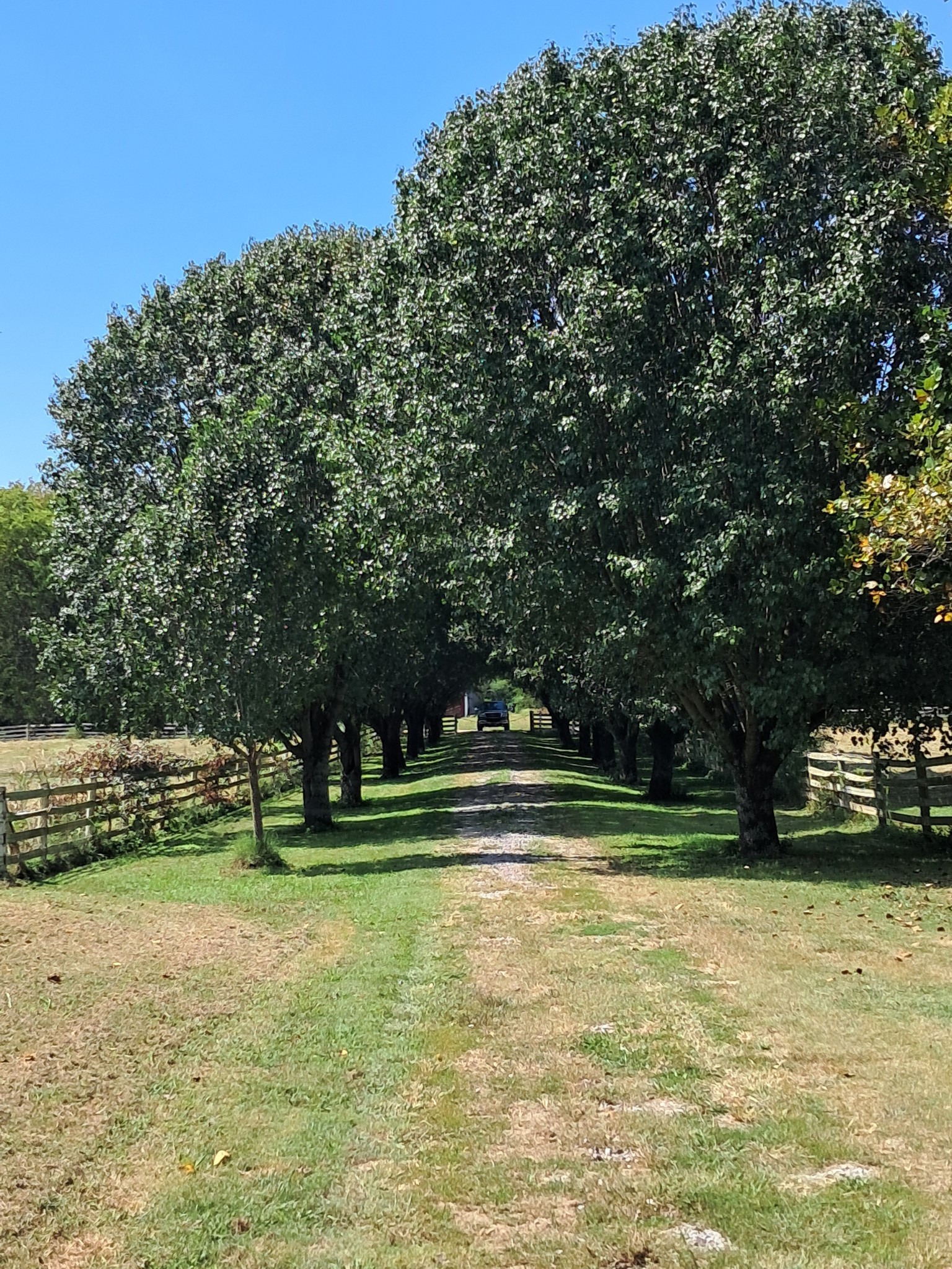 1211 Old Highway 99 Lewisburg TN 37091