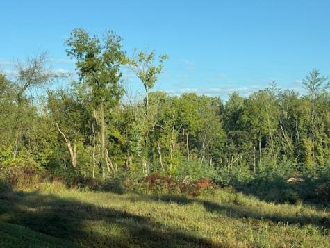 0 N Bratton Street Decherd TN 37324