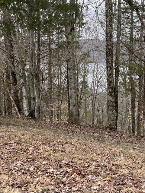 0 Austin Ridge Road Baxter TN 38544