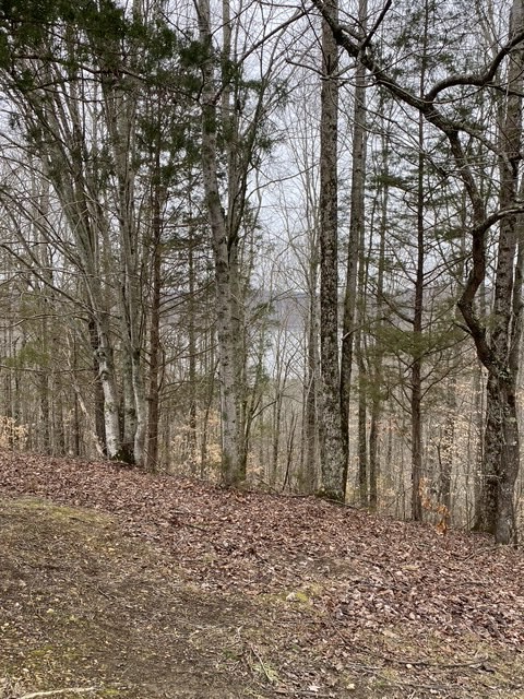 0 Austin Ridge Road Baxter TN 38544