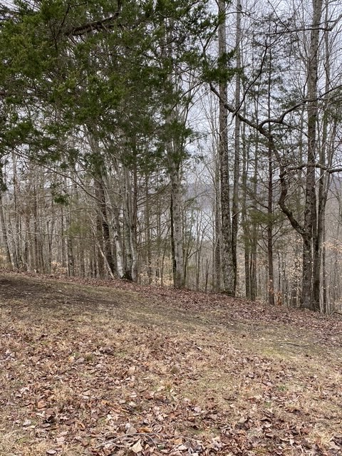 0 Austin Ridge Road Baxter TN 38544