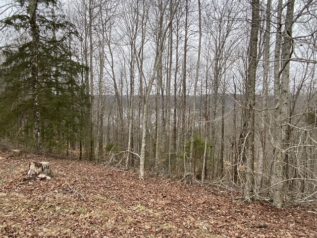 0 Austin Ridge Road Baxter TN 38544