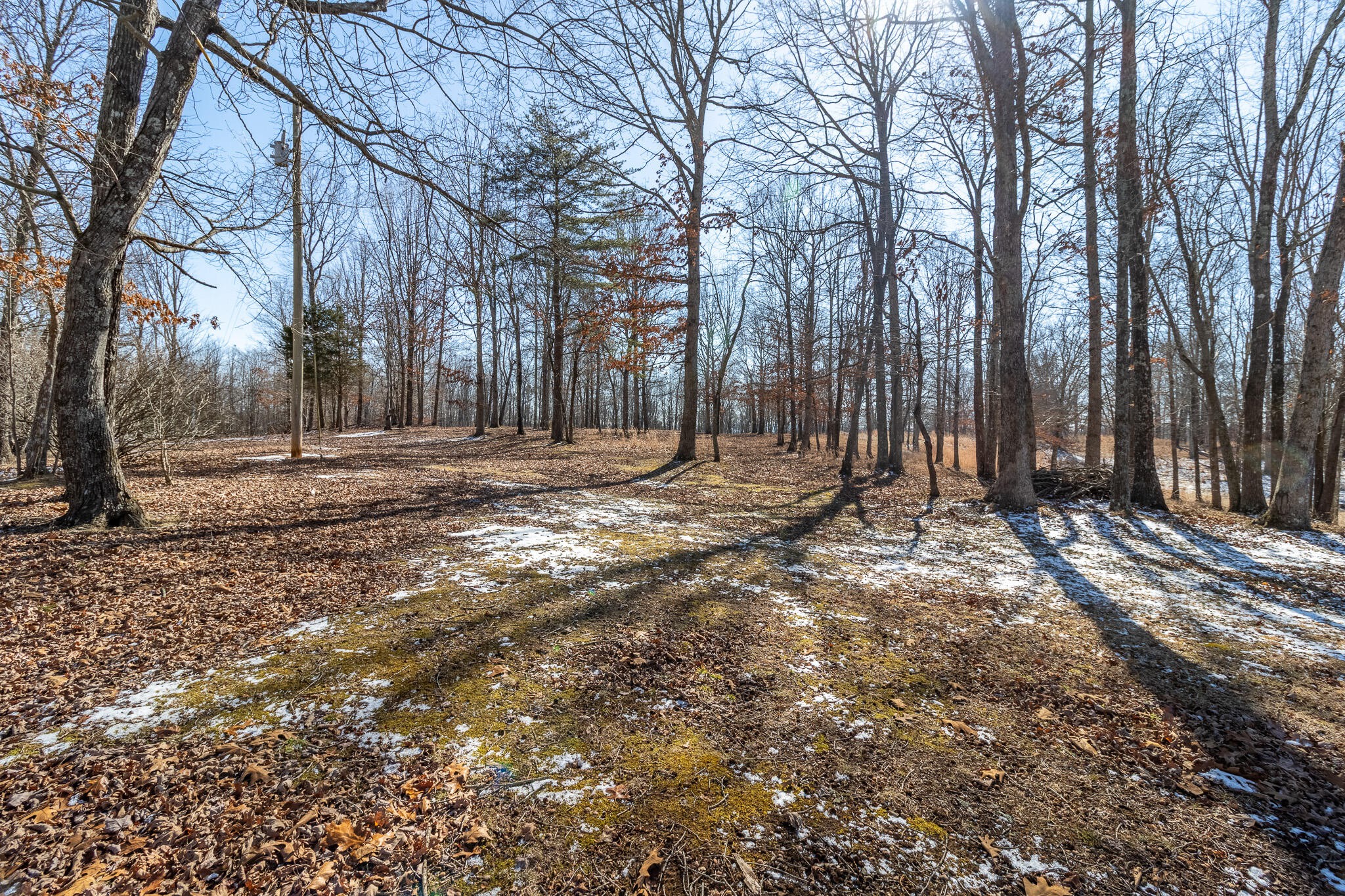 1844 Hobbstown Road Dunlap TN 37327