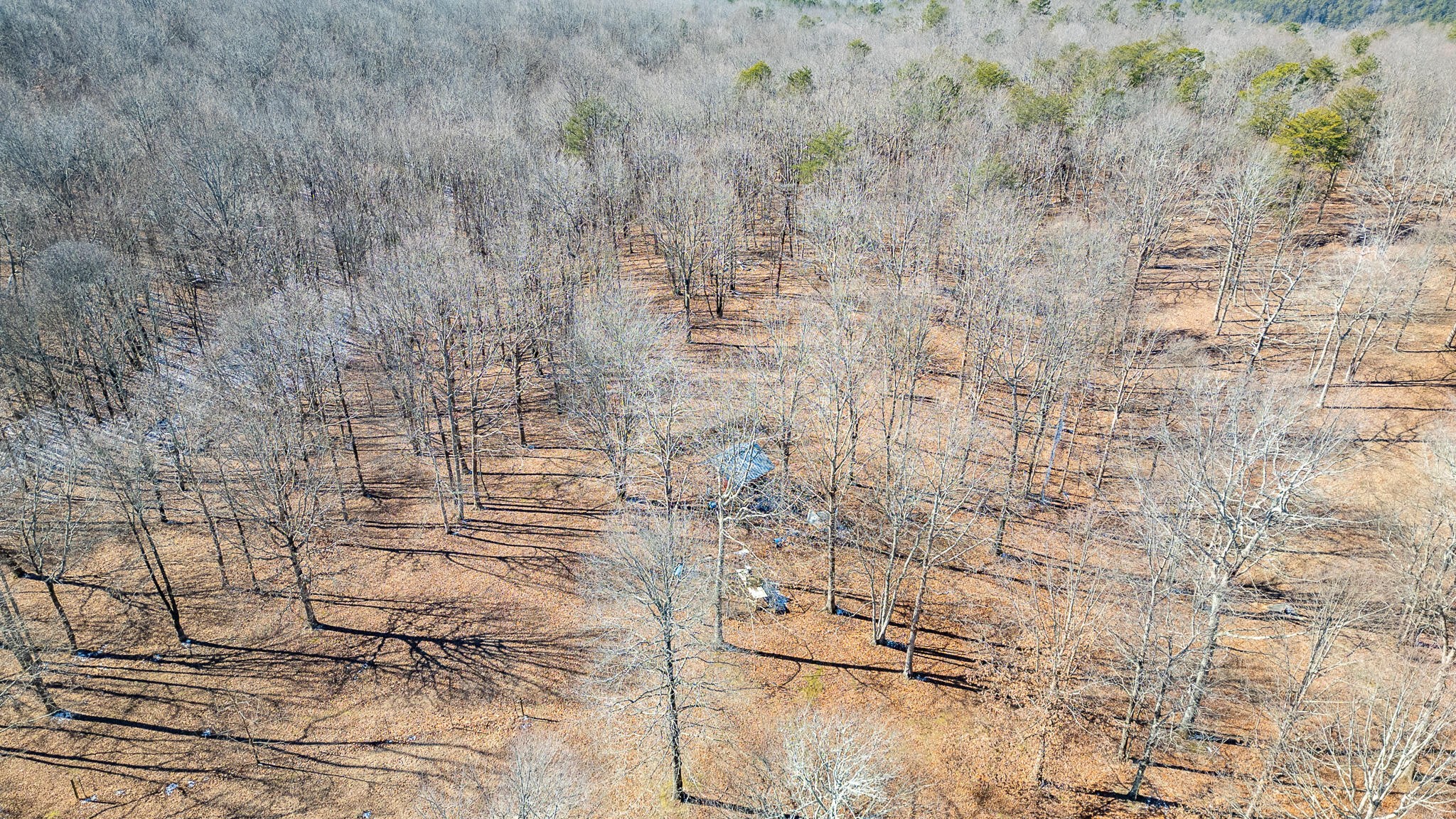 1844 Hobbstown Road Dunlap TN 37327