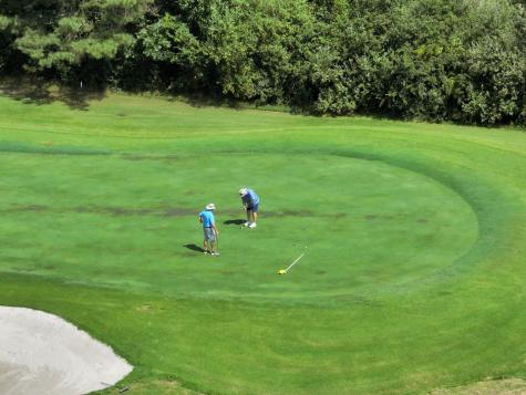 430 Willow Brook Drive Manchester TN 37355