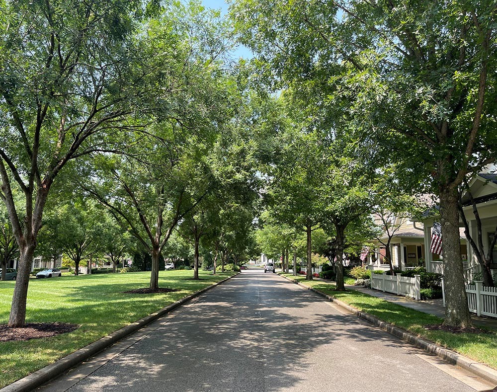 206 Pearl Street Franklin TN 37064