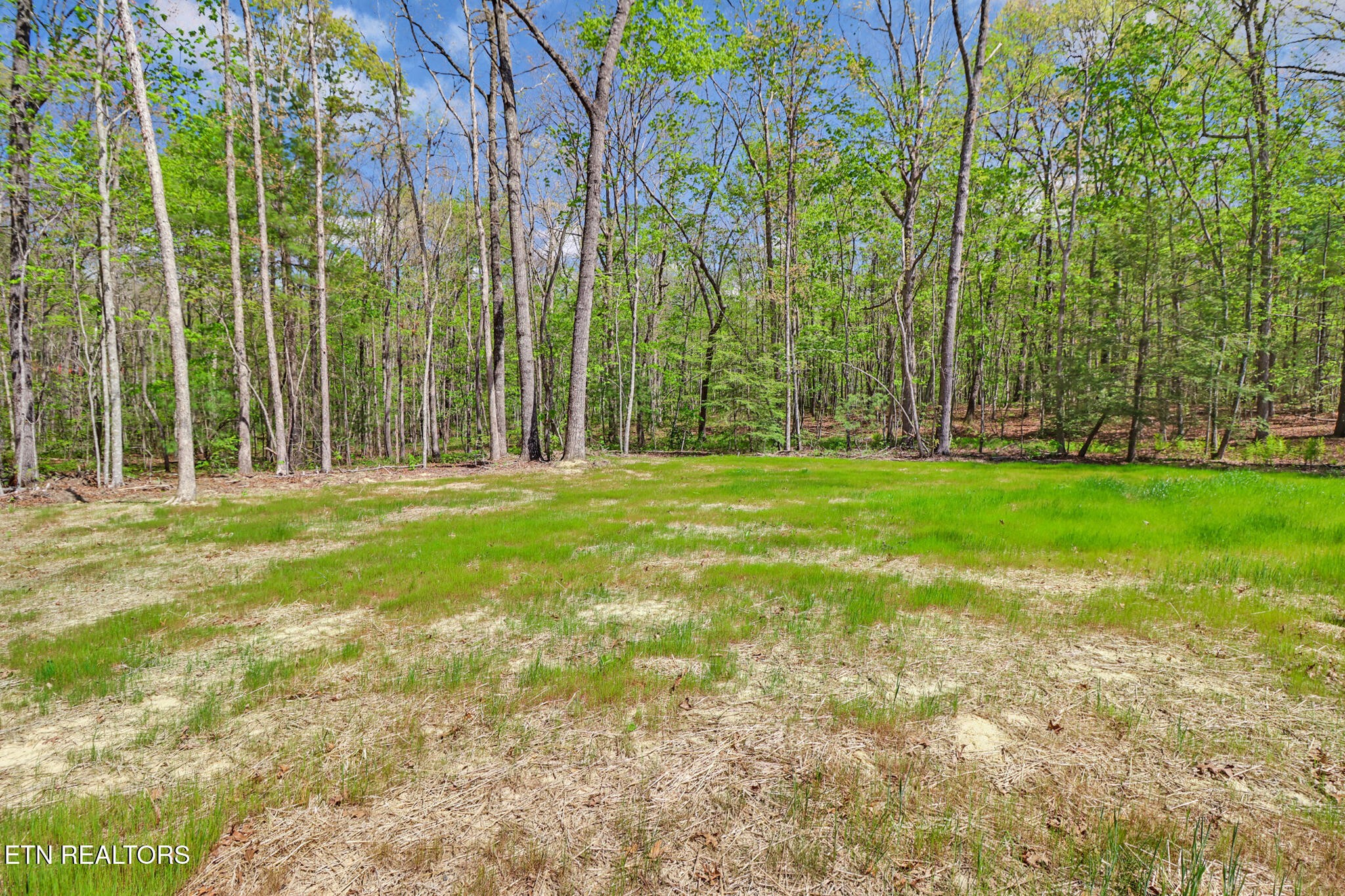 133 Jay Loop Jamestown TN 38556
