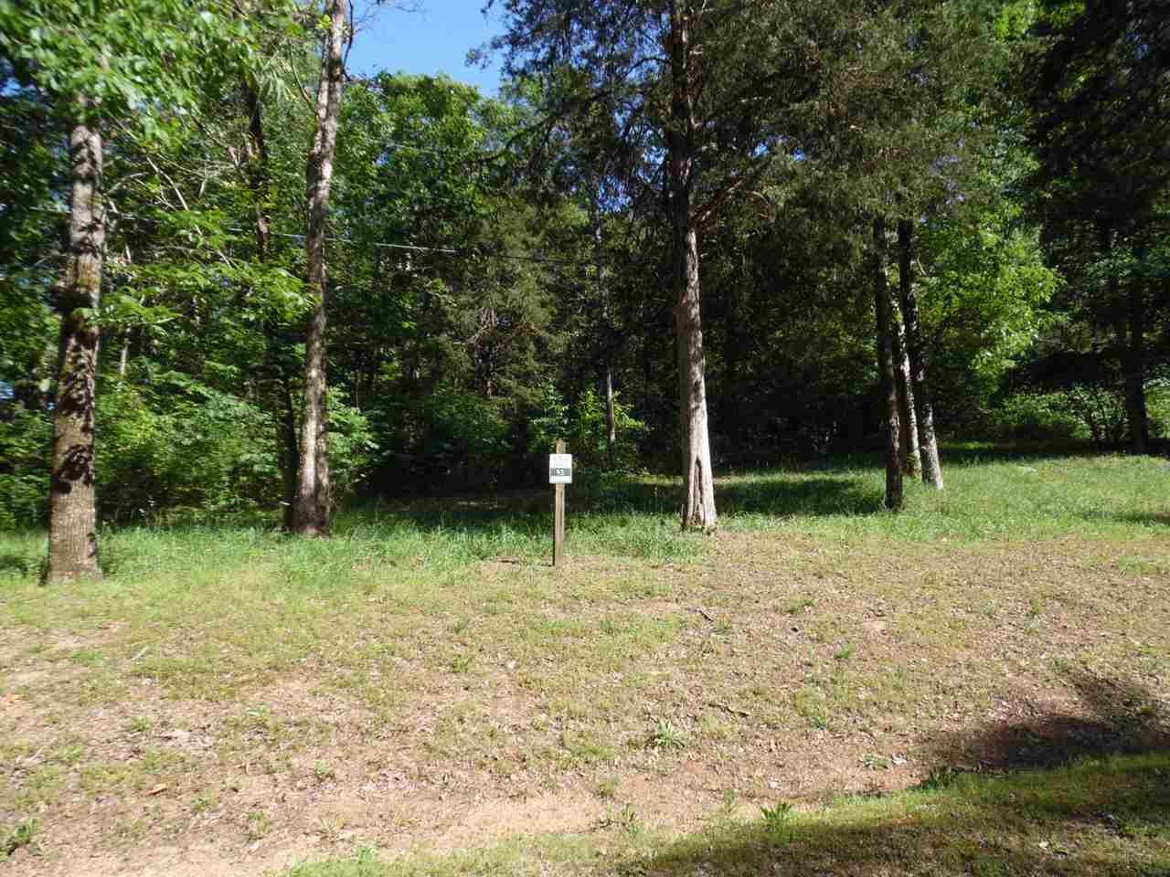 0 Adam Loop Bath Springs TN 38311