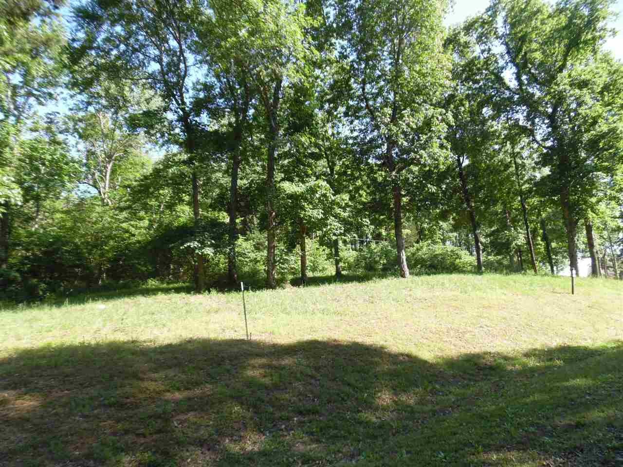 0 Adam Loop Bath Springs TN 38311