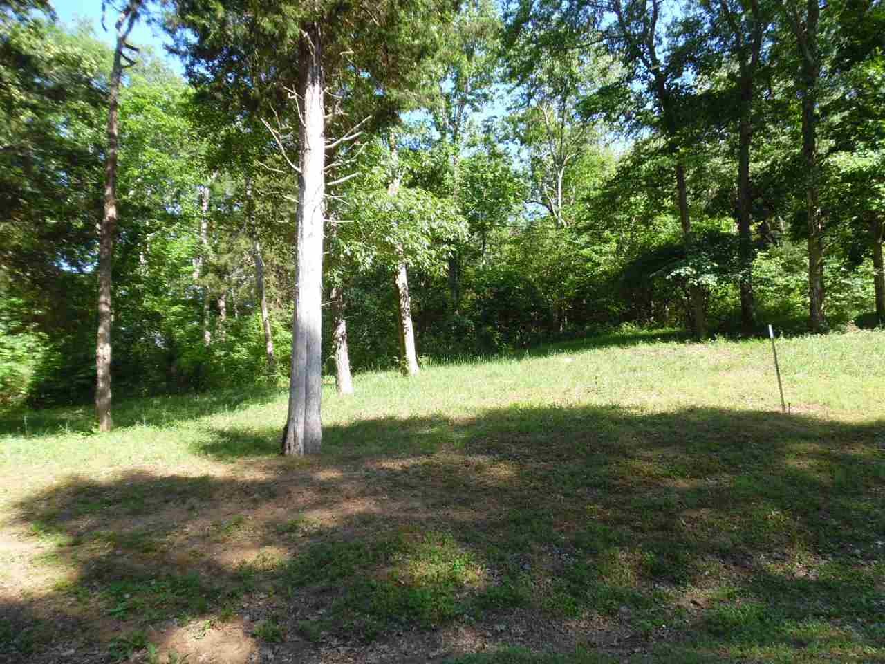 0 Adam Loop Bath Springs TN 38311